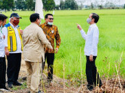 Menhan Prabowo Diminta Garap Lumbung Pangan, Pengamat: Nggak Nyambung