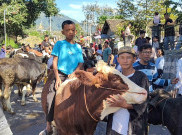Lebaran Sapi, Tradisi Unik Warga Lereng Merapi Boyolali Rayakan Hewan Ternak