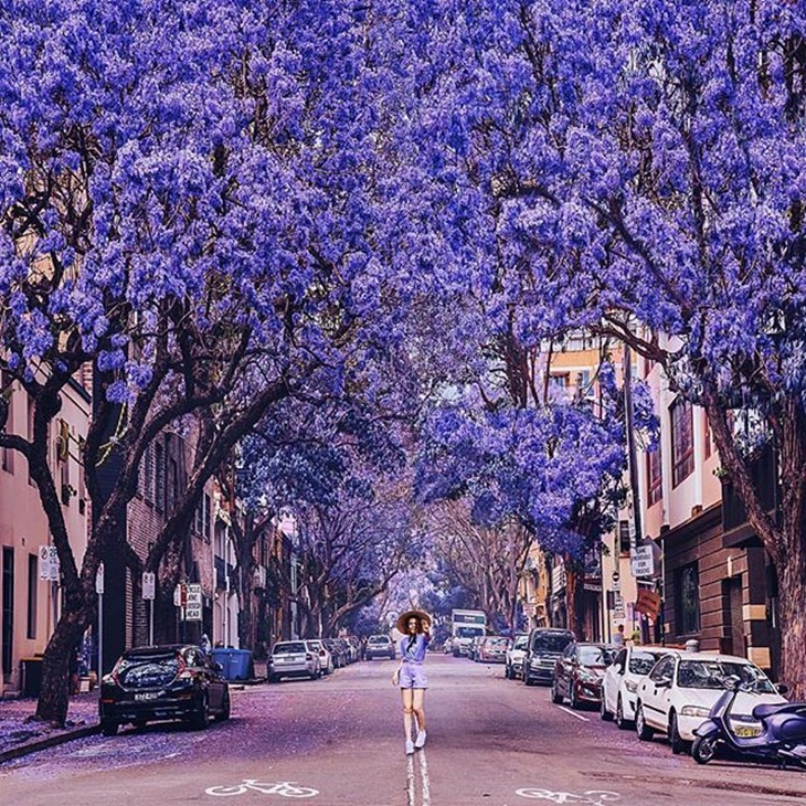 Jalanan di Sidney. (Foto: instagram.com/hobopeeba)