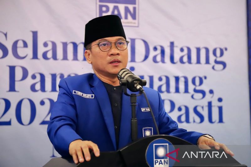 Sebut Putusan MK Janggal, PAN Yakin Istri Mendes Yandri Menang Lagi Lewat PSU