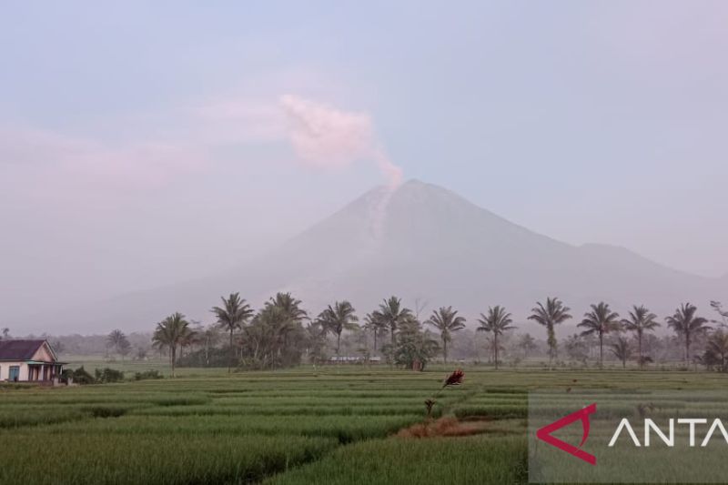 BNPB Beberkan Alasan Erupsi Semeru tak Sebabkan Tsunami di Jepang