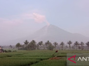 BNPB Beberkan Alasan Erupsi Semeru tak Sebabkan Tsunami di Jepang