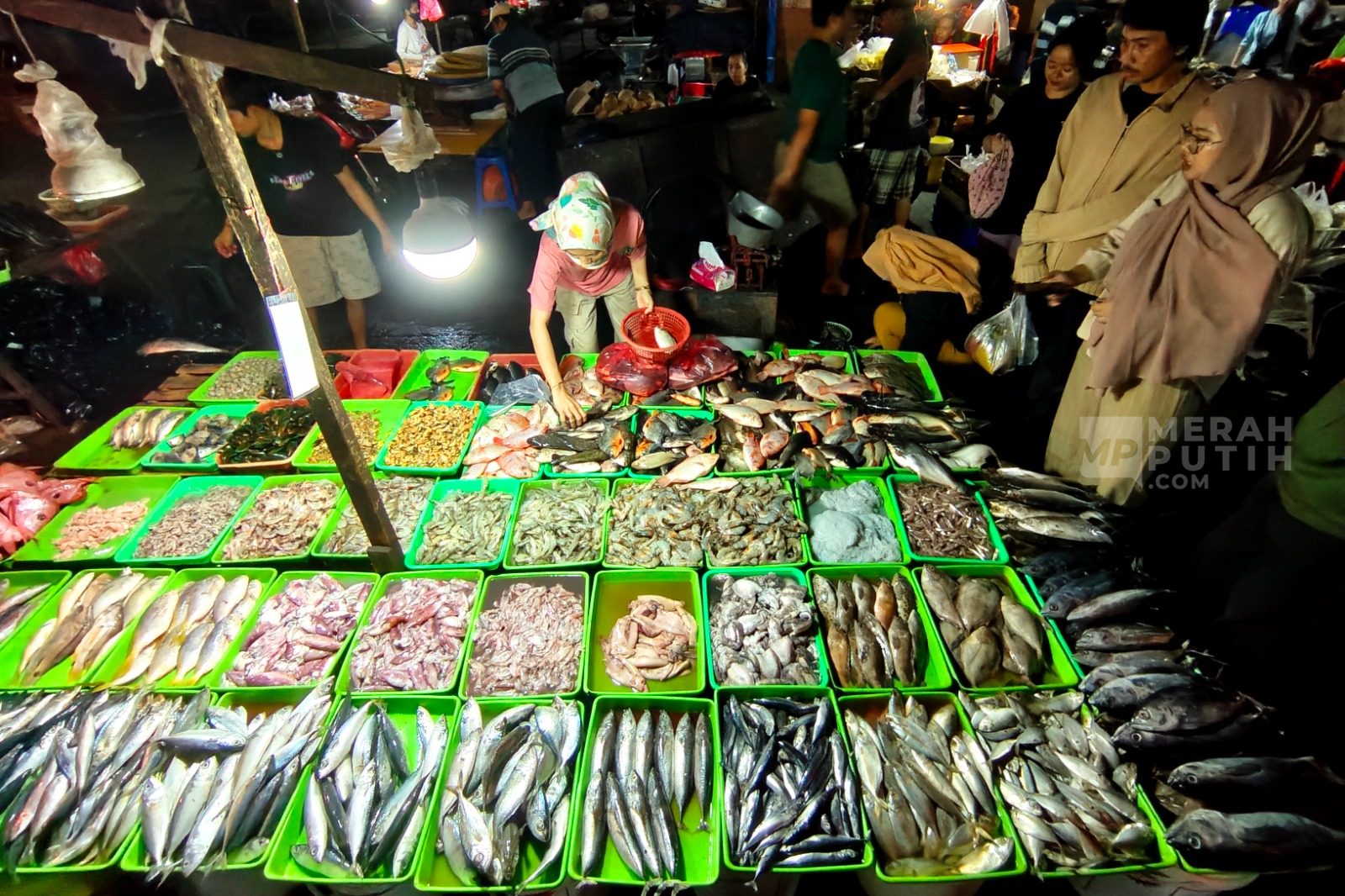 Kemarau Panjang Tekan Hasil Tangkapan Nelayan Muara Baru