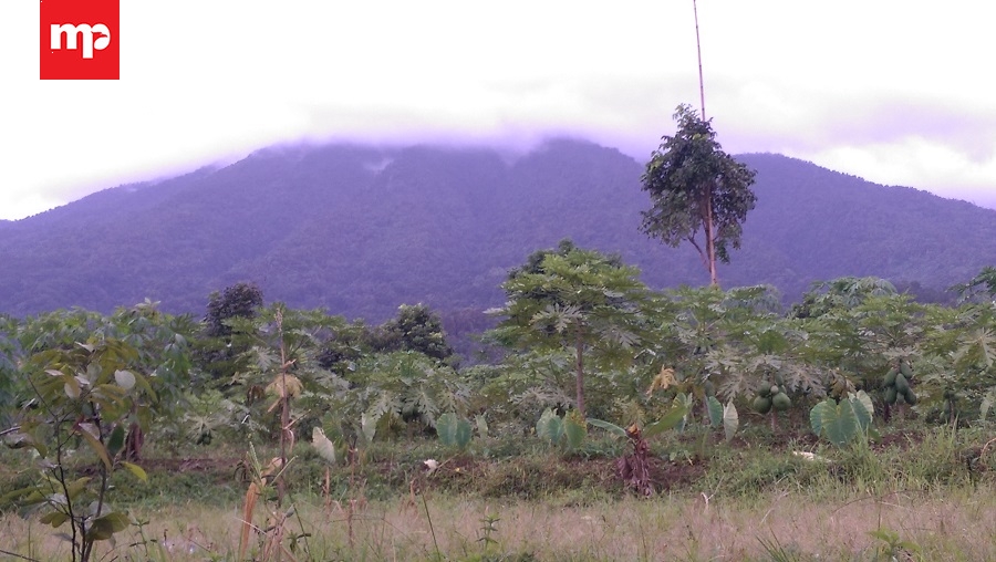 Catat! Gunung Salak Tidak Erupsi