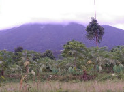 Catat! Gunung Salak Tidak Erupsi
