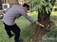 Taman Mini Indonesia Indah Geger Temuan Mortir di Anjungan Sumbar Pas Liburan Sekolah