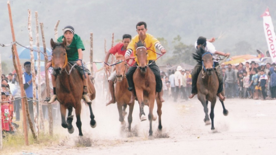 Pacuan Kuda Tradisional Gayo, Tradisi yang Sudah Ada Sejak Zaman Kolonial