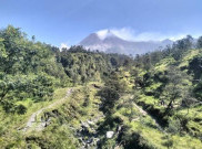 Pendaki Asal Sleman Hilang di Gunung Merapi, Padahal Sudah Ada Larangan Naik