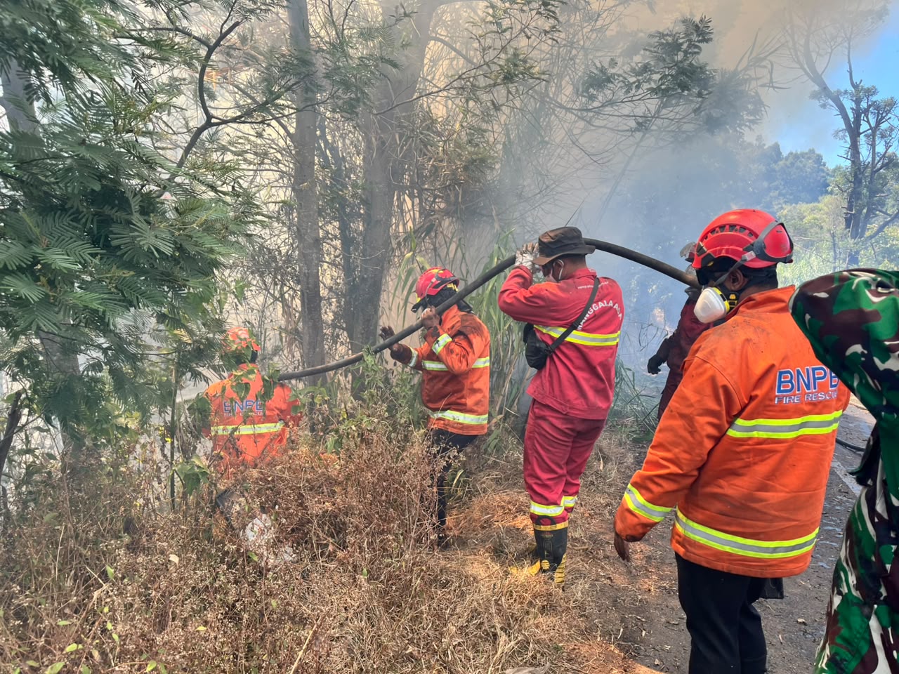 Update Kebakaran Hutan di Bromo, Semeru, dan Wilayah Jawa Timur Lainnya, Asap Masih Mengepul