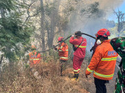 Update Kebakaran Hutan di Bromo, Semeru, dan Wilayah Jawa Timur Lainnya, Asap Masih Mengepul