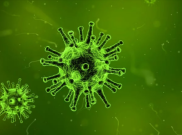 Jangan Anggap Remeh, Cegah Penyebaran Influenza dengan Cara Ini