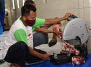 Tata Cara Menyembelih Hewan Kurban di Masa Pandemi