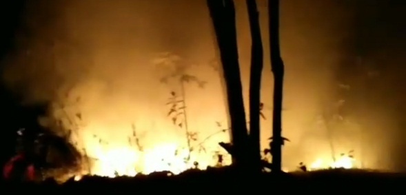 Kebakaran Hebat Gunung Merbabu Mustahil Dipadamkan Dari Darat
