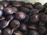 Di Cianjur, Harga Jengkol Lebih Mahal Dibandingkan Daging Ayam