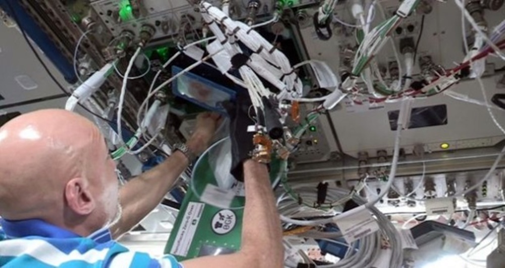 Eksperimen Astronot Memanggang Biskuit