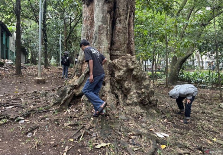 Pengamat Sebut 'Koin Jagat' Bikin Remaja Tak Berpenghasilan Enggak Produktif