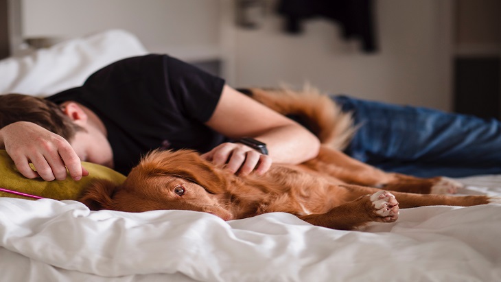 Animal Telepathy, Cara Manusia Berkomunikasi dengan Hewan