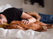 Animal Telepathy, Cara Manusia Berkomunikasi dengan Hewan