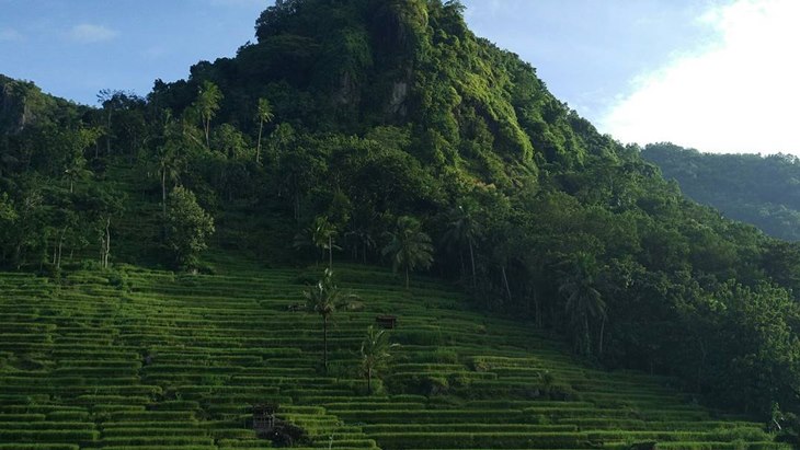 Sompok Trekking, Wisata Alternatif di Yogyakarta