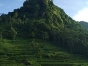 Sompok Trekking, Wisata Alternatif di Yogyakarta
