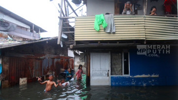 Banjir Setinggi 80 Cm Genangi Pemukiman Padat Penduduk Kapuk Jakarta Barat 