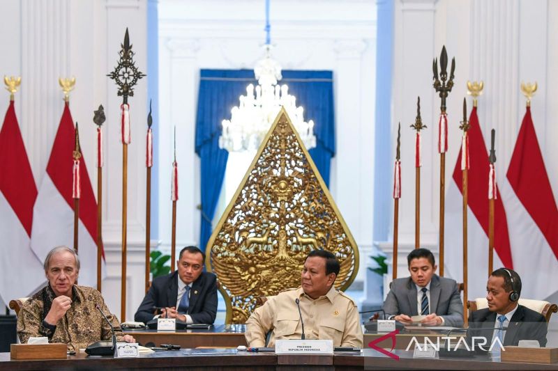 Investor Asal Amerika Serikat Masuk Struktur Kepengurusan BPI Danantara