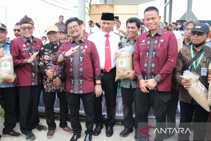 Kementan Bagikan 4 Ton Benih Padi Hadapi Kekeringan
