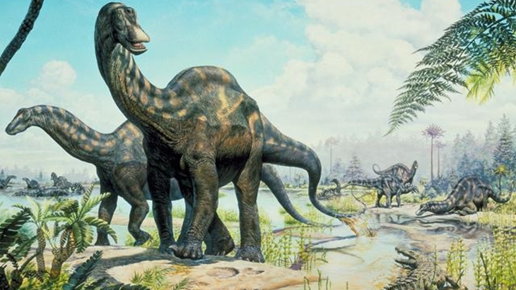 Penemuan Fosil Sauropodomorph Mengguggah Teori Evolusi Baru!