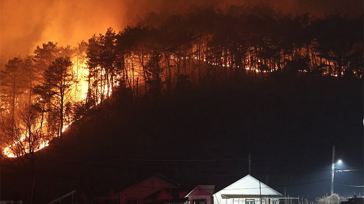 Kebakaran Hutan kembali Berkobar di Wilayah Tenggara Korea Selatan, Korban Tewas Bertambah Jadi 30