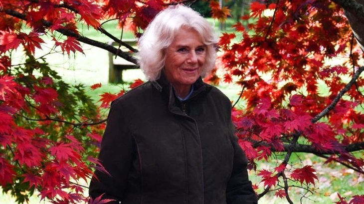 Camilla, Duchess of Cornwall Buat Ruang Baca di Instagram