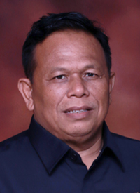 Anggota DPRD Fraksi PDI Perjuangan DKI Jakarta, Pandapotan Sinag
