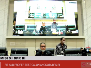 2 Anggota BPK Terpilih Lewat Voting Anggota DPR