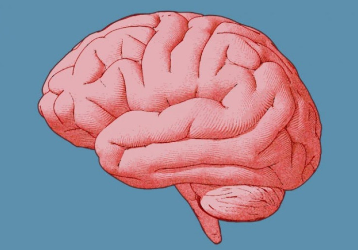 Perlu Diwaspadai, Ini 5 Tanda Seseorang Terkena Tumor Otak