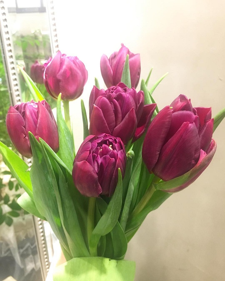 Bunga kerap dijadikan hadiah Valentine. (Instagram/verterra_)