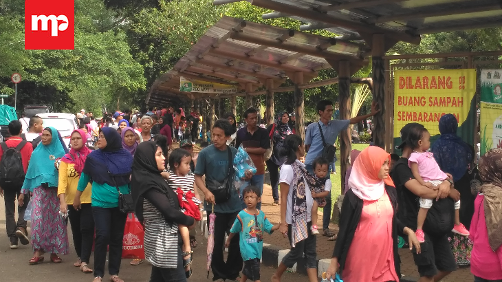 Pusat Primata Schmutzer Jadi Primadona Ragunan