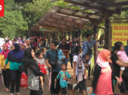 Presiden Jokowi Bagi-bagi Buku di Kebun Binatang Ragunan