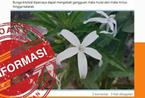 [HOAKS atau FAKTA]: Bunga Kitolod Ampuh Sembuhkan Katarak