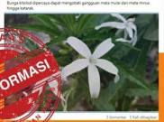 [HOAKS atau FAKTA]: Bunga Kitolod Ampuh Sembuhkan Katarak