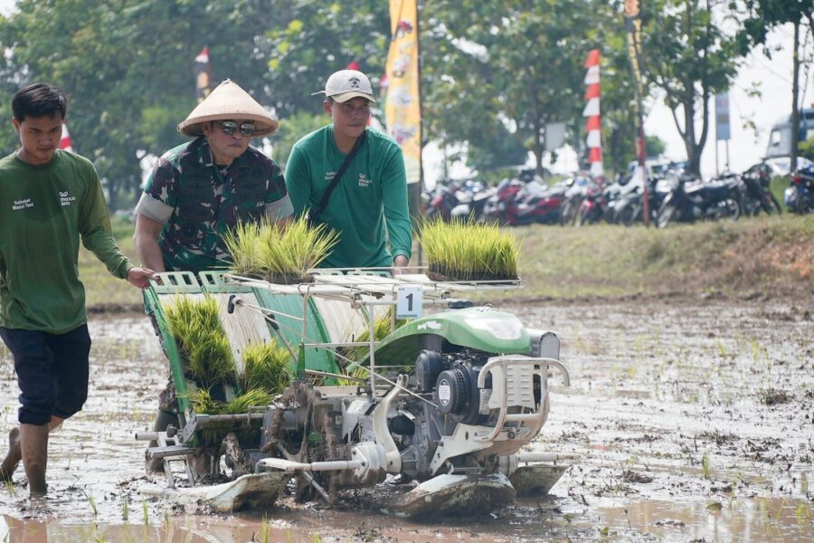 Kurangi Ketergantungan Impor Beras, TNI AD Panen Raya 30 Hektar di Subang