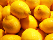 Jurus Jitu Jaga Kesegaran Lemon Hingga 3 Bulan
