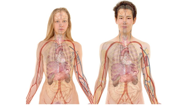 Hati-hati, Ini Tanda-Tanda Metabolisme Tubuh Kamu Melambat