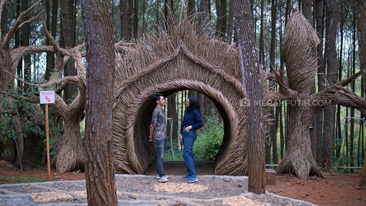 Berburu Foto Instagramable di Hutan Pinus Pengger Bersama Travel Trip