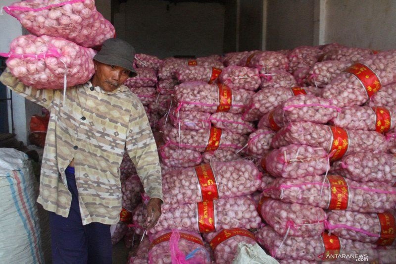 Kemendag Didesak Segera Izinkan Jakarta Impor Bawang Putih