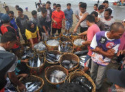 Presiden Jokowi Siapkan 4 Skema Bantuan bagi Nelayan dan Petani