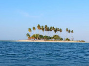 Wow! Pulau Spongebob Ada di Kalimantan Timur