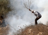 Gencatan Senjata Hamas-Israel Tercapai, Situasi Memanas di Tepi Barat