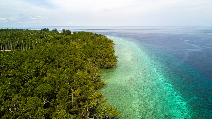 Jelajah Maluku Utara, Surga Penyu Hijau di Tanjung Waka