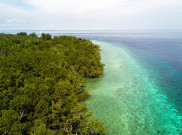 Jelajah Maluku Utara, Surga Penyu Hijau di Tanjung Waka