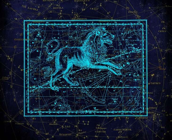 Leo. (Foto: Pixabay/darkmoon1968)