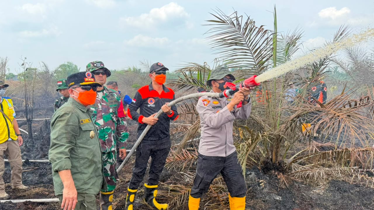 BMKG Catat 478 Titik Panas, Sumatera Selatan Tertinggi